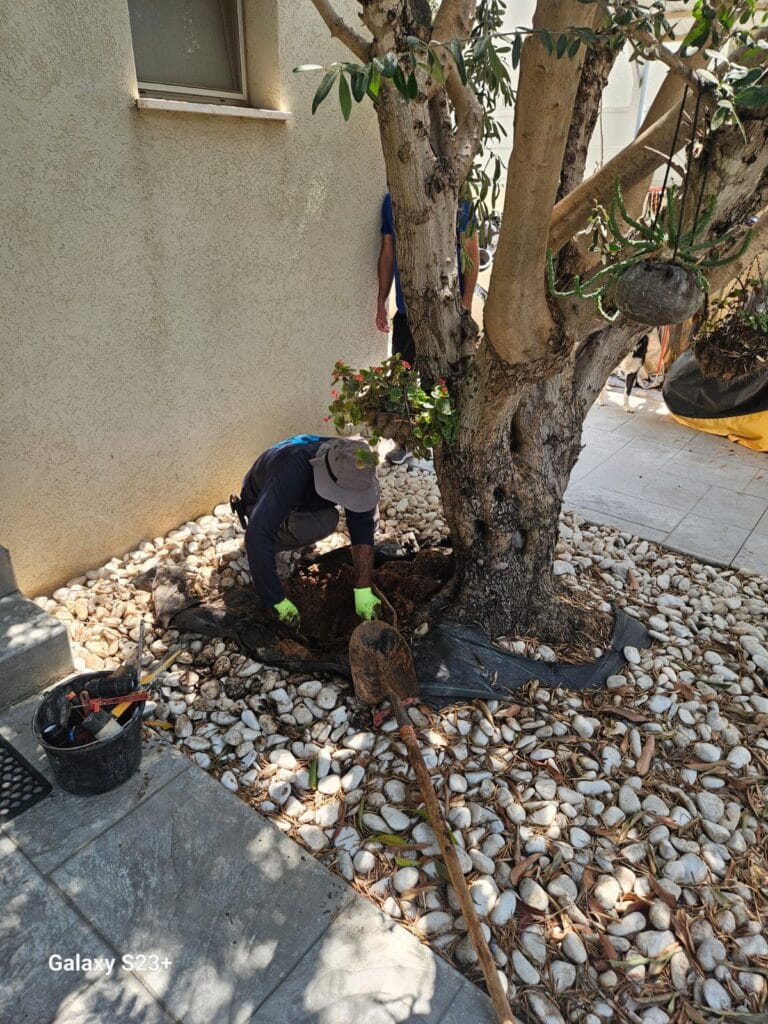 תמונה של WhatsApp_ 2024-09-01 בשעה 13.11.43_ea173d88