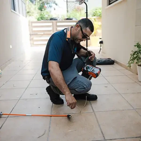 ביקורת מבנים